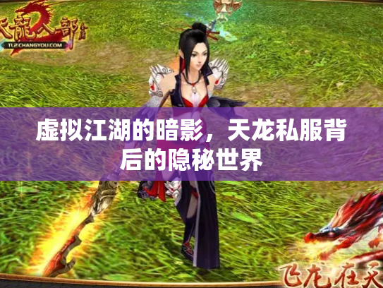 虚拟江湖的暗影，天龙私服背后的隐秘世界
