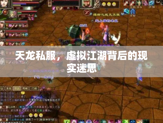 天龙私服，虚拟江湖背后的现实迷思