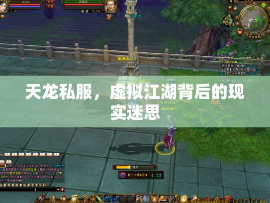 天龙私服，虚拟江湖背后的现实迷思