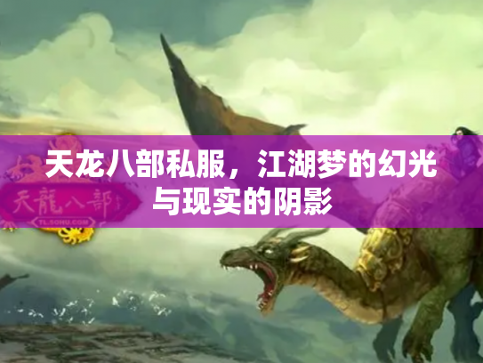 天龙八部私服，江湖梦的幻光与现实的阴影