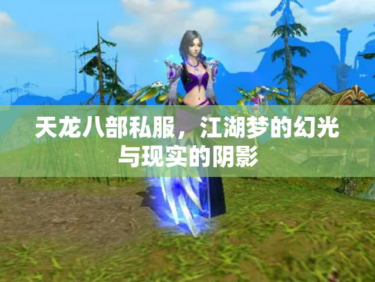 天龙八部私服，江湖梦的幻光与现实的阴影