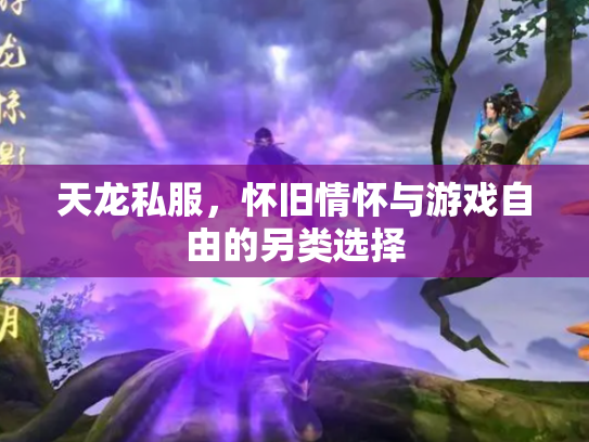 天龙私服，怀旧情怀与游戏自由的另类选择