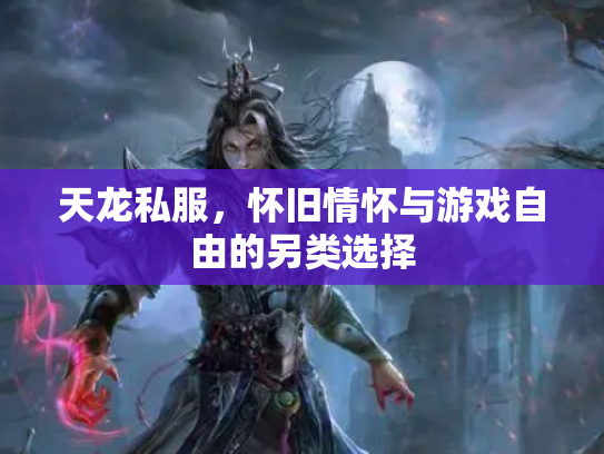 天龙私服，怀旧情怀与游戏自由的另类选择