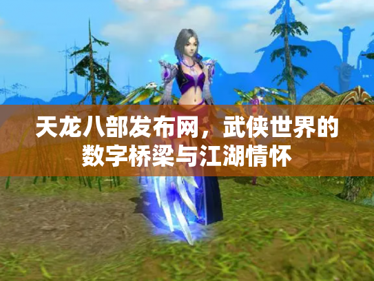 天龙八部发布网，武侠世界的数字桥梁与江湖情怀