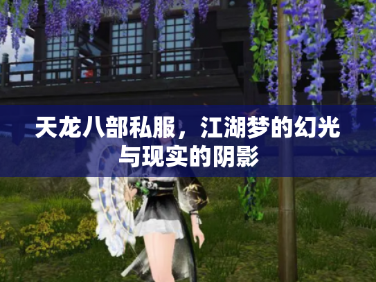 天龙八部私服，江湖梦的幻光与现实的阴影