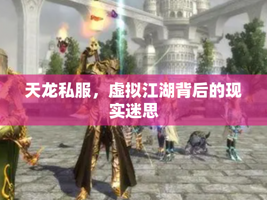 天龙私服，虚拟江湖背后的现实迷思
