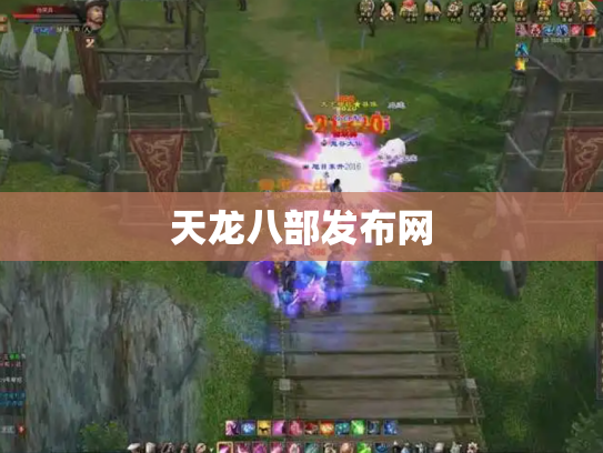 天龙八部发布网