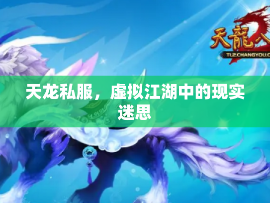 天龙私服，虚拟江湖中的现实迷思