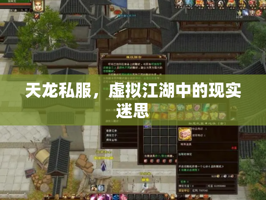 天龙私服，虚拟江湖中的现实迷思