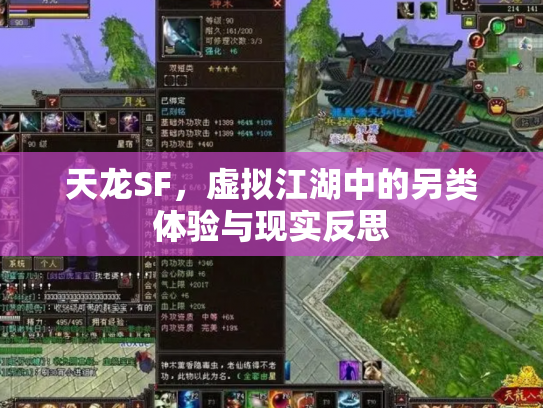 天龙SF，虚拟江湖中的另类体验与现实反思