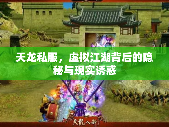 天龙私服，虚拟江湖背后的隐秘与现实诱惑