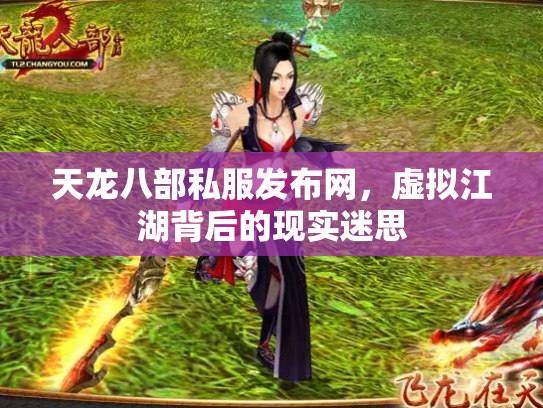 天龙八部私服发布网，虚拟江湖背后的现实迷思