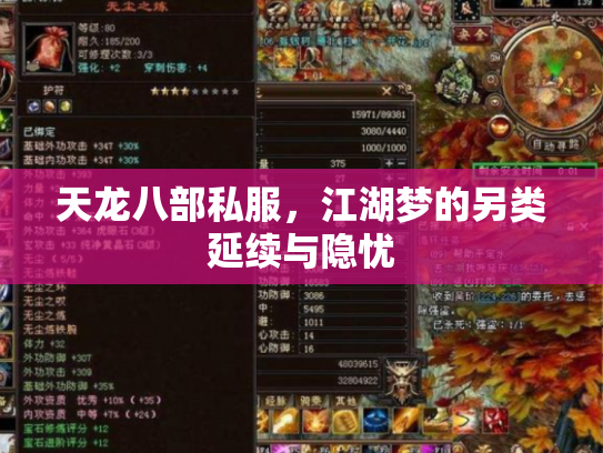 天龙八部私服，江湖梦的另类延续与隐忧
