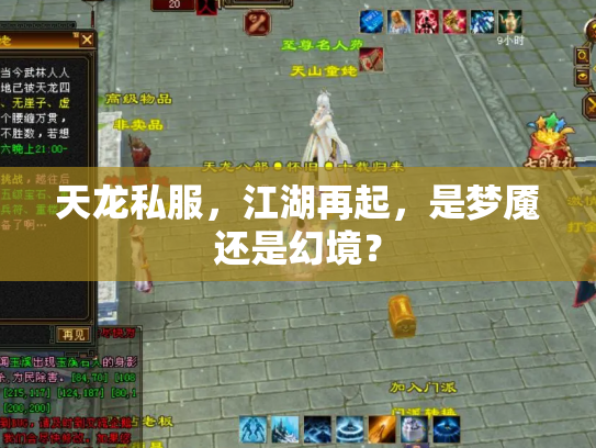 天龙私服，江湖再起，是梦魇还是幻境？