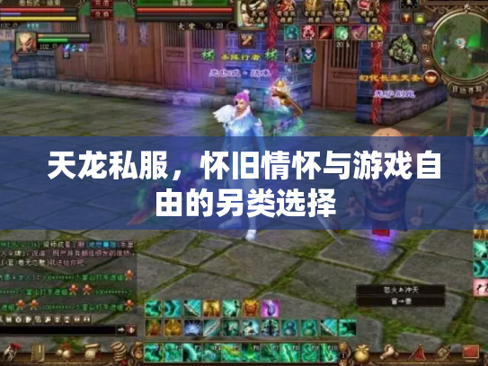 天龙私服，怀旧情怀与游戏自由的另类选择