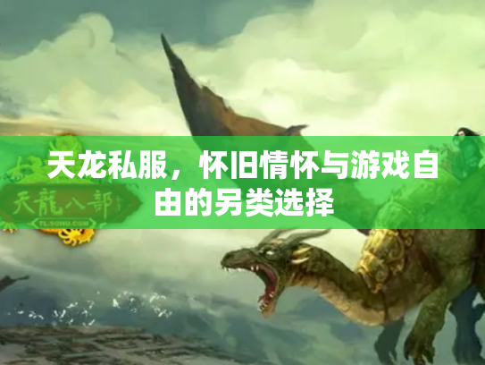 天龙私服，怀旧情怀与游戏自由的另类选择
