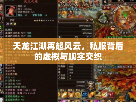 天龙江湖再起风云，私服背后的虚拟与现实交织