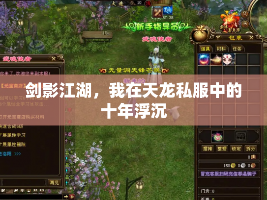 剑影江湖，我在天龙私服中的十年浮沉