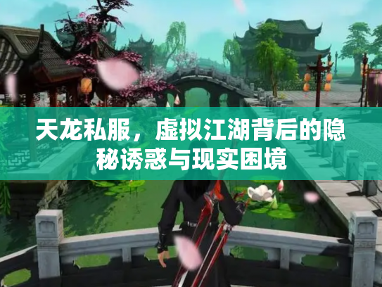 天龙私服，虚拟江湖背后的隐秘诱惑与现实困境