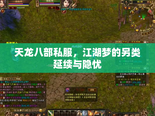 天龙八部私服，江湖梦的另类延续与隐忧