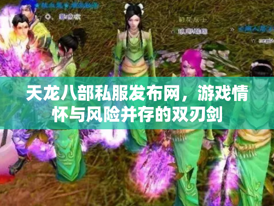 天龙八部私服发布网，游戏情怀与风险并存的双刃剑