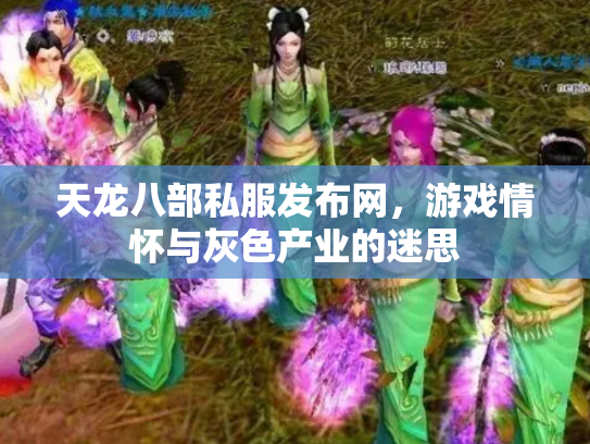天龙八部私服发布网，游戏情怀与灰色产业的迷思