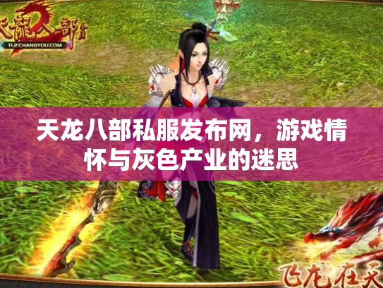 天龙八部私服发布网，游戏情怀与灰色产业的迷思