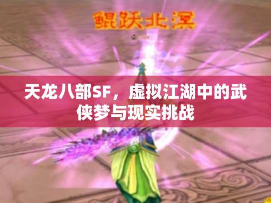 天龙八部SF，虚拟江湖中的武侠梦与现实挑战