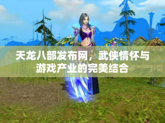 天龙八部发布网，武侠情怀与游戏产业的完美结合