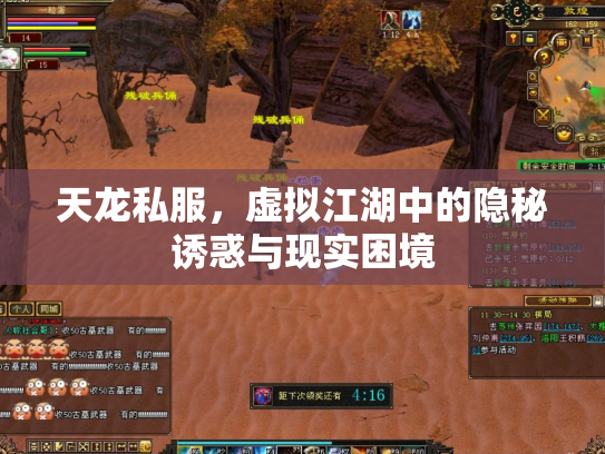 天龙私服，虚拟江湖中的隐秘诱惑与现实困境