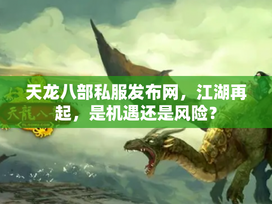 天龙八部私服发布网，江湖再起，是机遇还是风险？