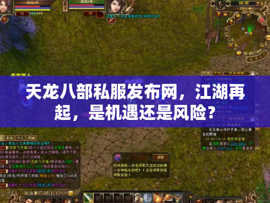 天龙八部私服发布网，江湖再起，是机遇还是风险？
