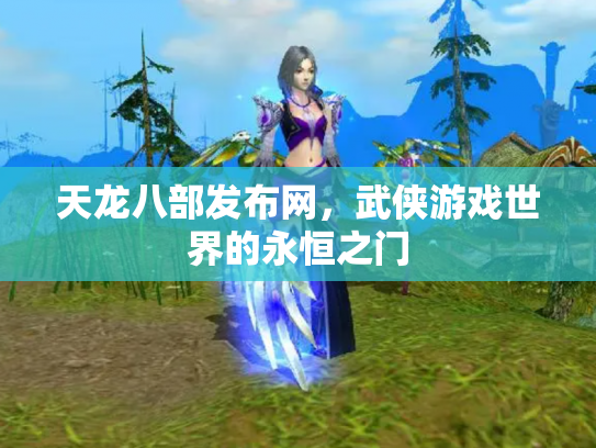 天龙八部发布网，武侠游戏世界的永恒之门