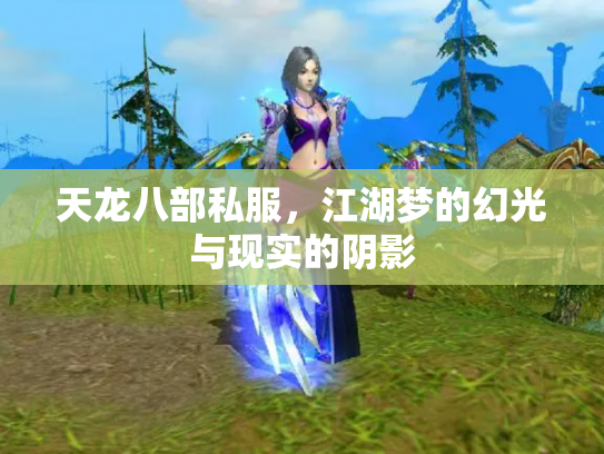 天龙八部私服，江湖梦的幻光与现实的阴影