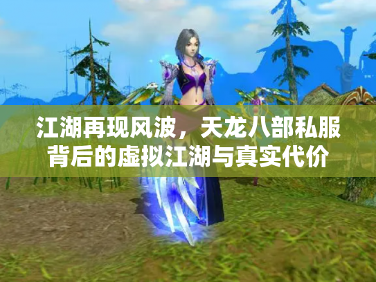 江湖再现风波，天龙八部私服背后的虚拟江湖与真实代价