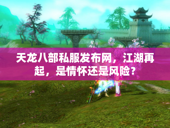 天龙八部私服发布网，江湖再起，是情怀还是风险？