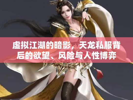 虚拟江湖的暗影，天龙私服背后的欲望、风险与人性博弈