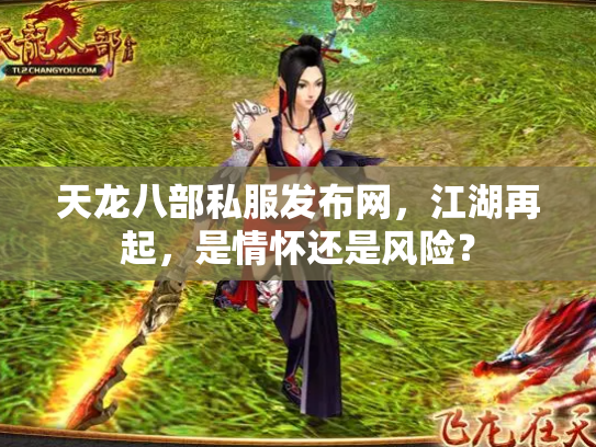 天龙八部私服发布网，江湖再起，是情怀还是风险？