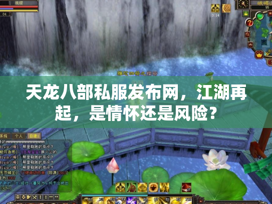 天龙八部私服发布网，江湖再起，是情怀还是风险？