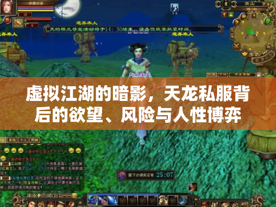 虚拟江湖的暗影，天龙私服背后的欲望、风险与人性博弈