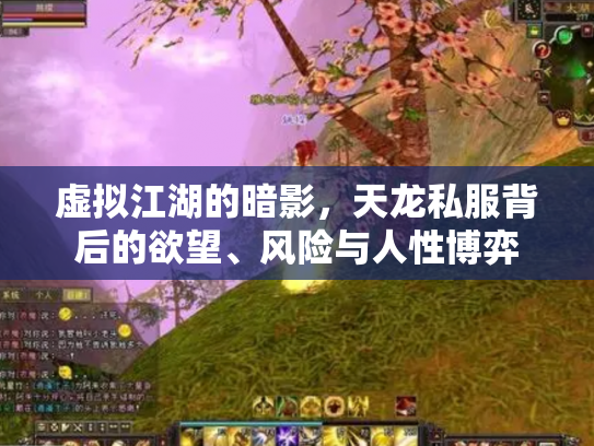 虚拟江湖的暗影，天龙私服背后的欲望、风险与人性博弈