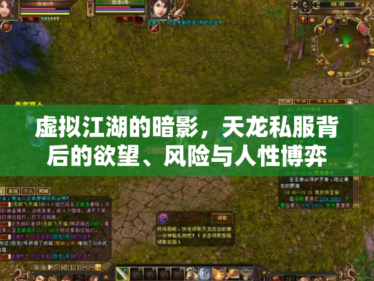 虚拟江湖的暗影，天龙私服背后的欲望、风险与人性博弈