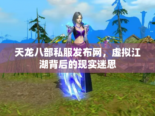 天龙八部私服发布网，虚拟江湖背后的现实迷思