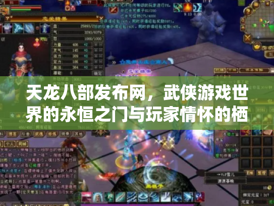 天龙八部发布网，武侠游戏世界的永恒之门与玩家情怀的栖息地