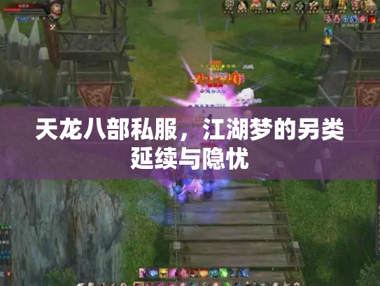天龙八部私服，江湖梦的另类延续与隐忧