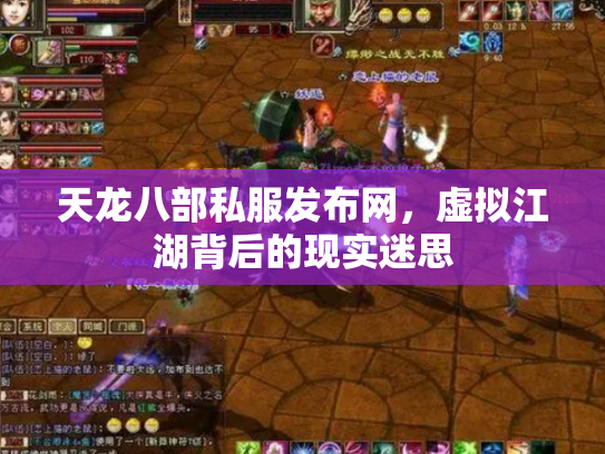 天龙八部私服发布网，虚拟江湖背后的现实迷思