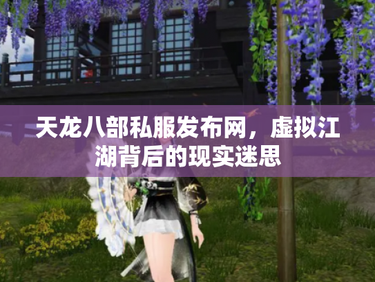 天龙八部私服发布网，虚拟江湖背后的现实迷思