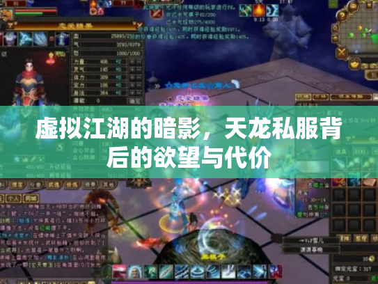虚拟江湖的暗影，天龙私服背后的欲望与代价