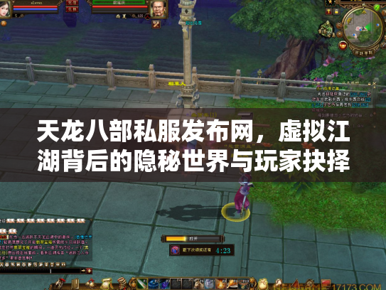 天龙八部私服发布网，虚拟江湖背后的隐秘世界与玩家抉择