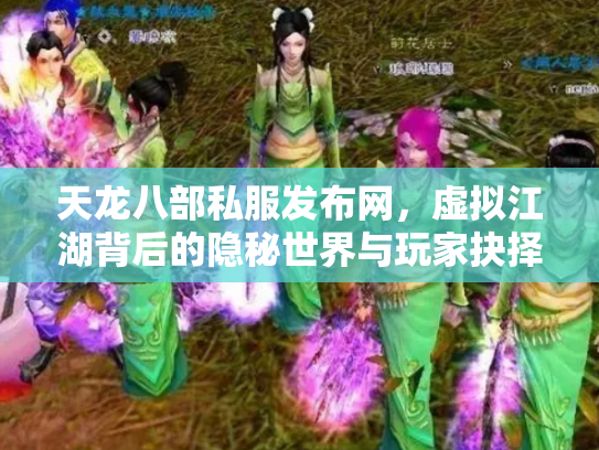 天龙八部私服发布网，虚拟江湖背后的隐秘世界与玩家抉择